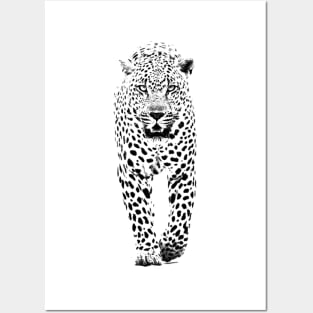 Leopard Posters and Art